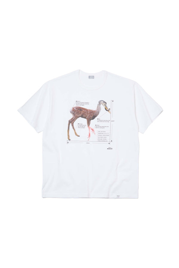 25WBM-T05233-00-1