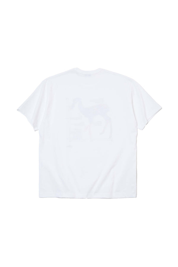 25WBM-T05233-00-2