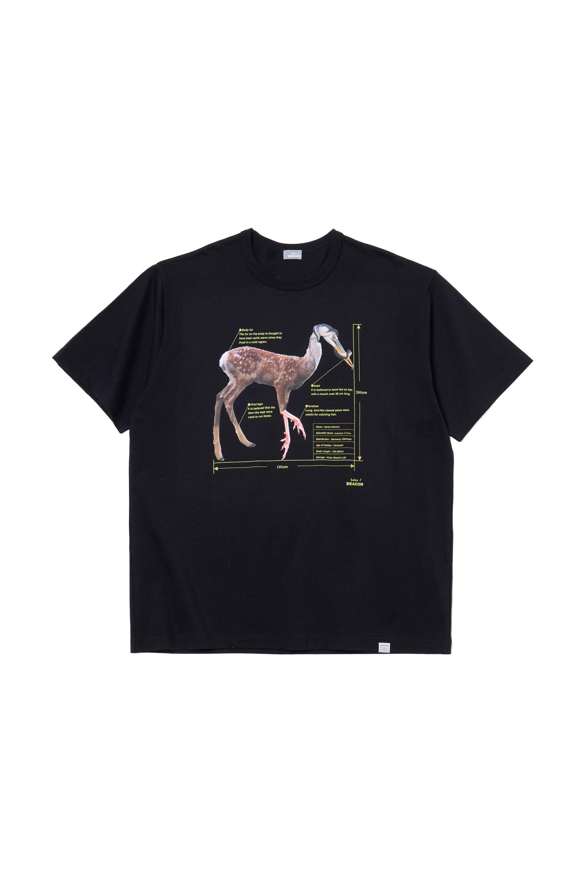 kolor BEACON Tシャツ T-Shirt – kolor official online store