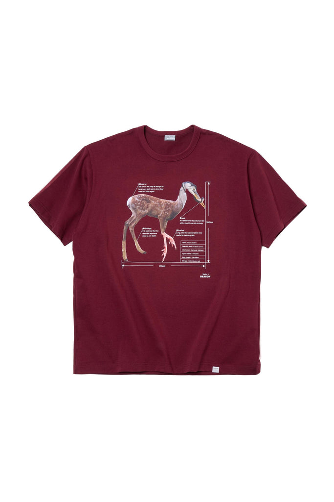 25WBM-T05233-18-1