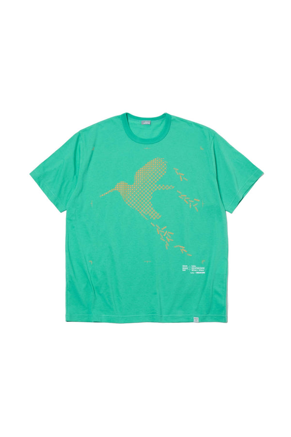T-Shirt – kolor official online store
