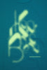 26SBM-T11235-73-3
